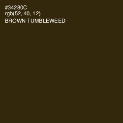 #34280C - Brown Tumbleweed Color Image